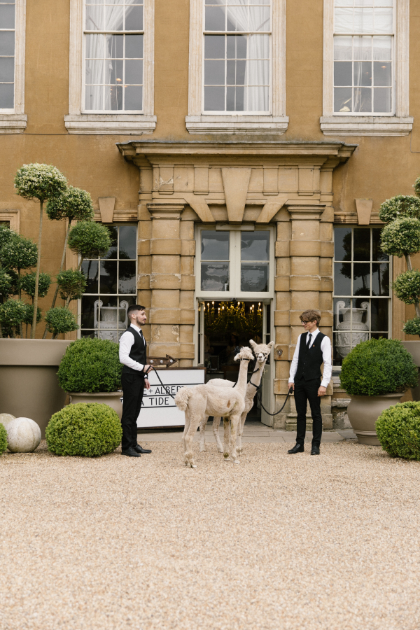 Planners The Bijou Studio