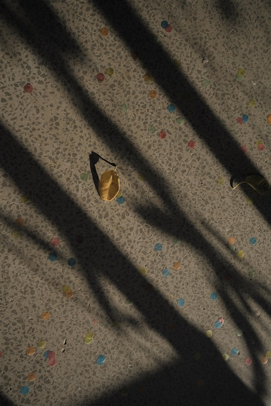 Photographers Salt media