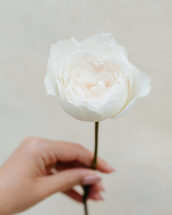 Planners Ksenia Ridolfi Weddings