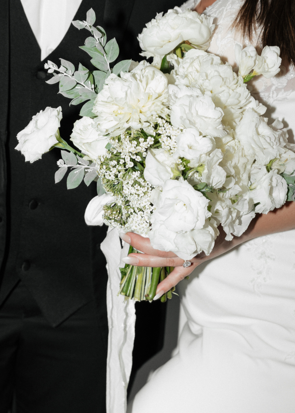 Photographers South of Indigo