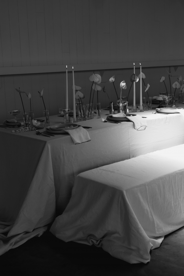 Planners Paloma Events