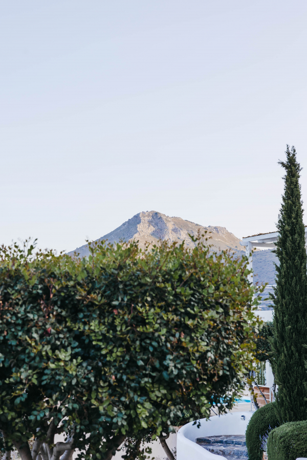 Photographers Cacie Carroll