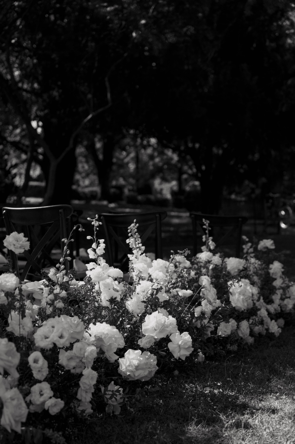 Photographers Vladimir Zakharov