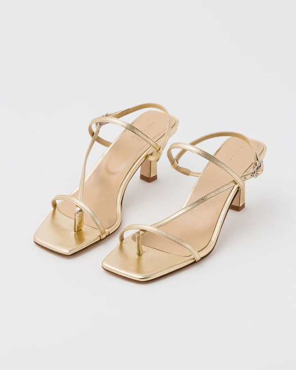 Lucky Colors to Wear on New Year's Eve 2024 | Feng Shui | What is the Best New Year Color, Chinese Astrology