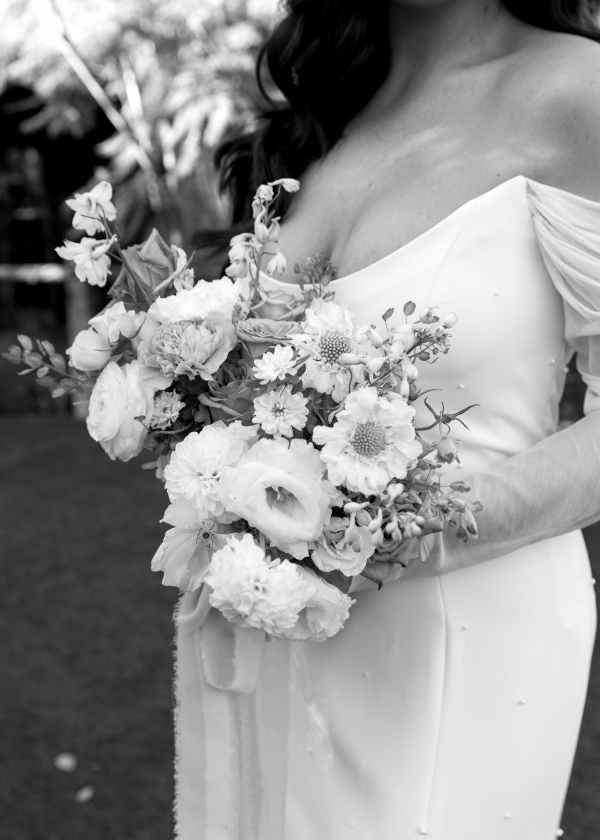 Photographers South of Indigo