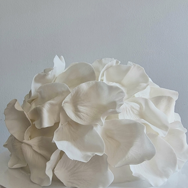 Cakes & Catering Clare Ellen Studio