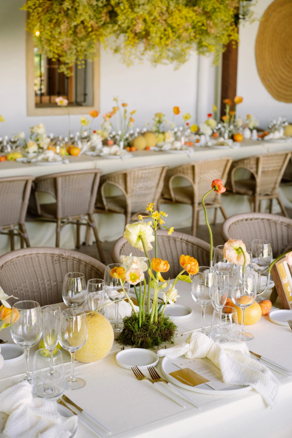 Planners La Federica