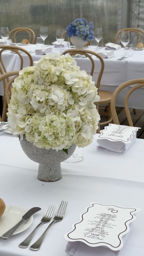 Content Creators Social Romances