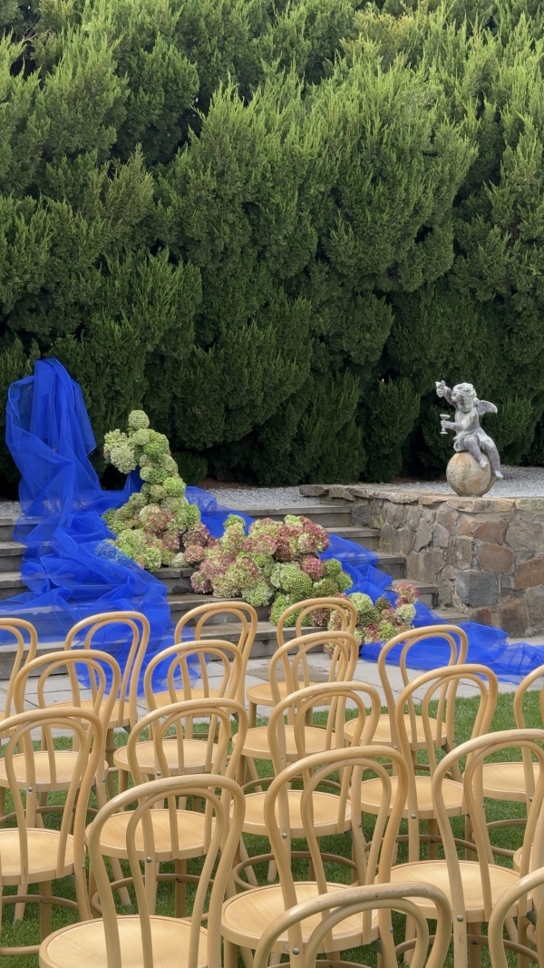 Content Creators Social Romances