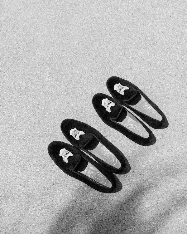 A Vibrant Mexican Wedding on the Baja Peninsula