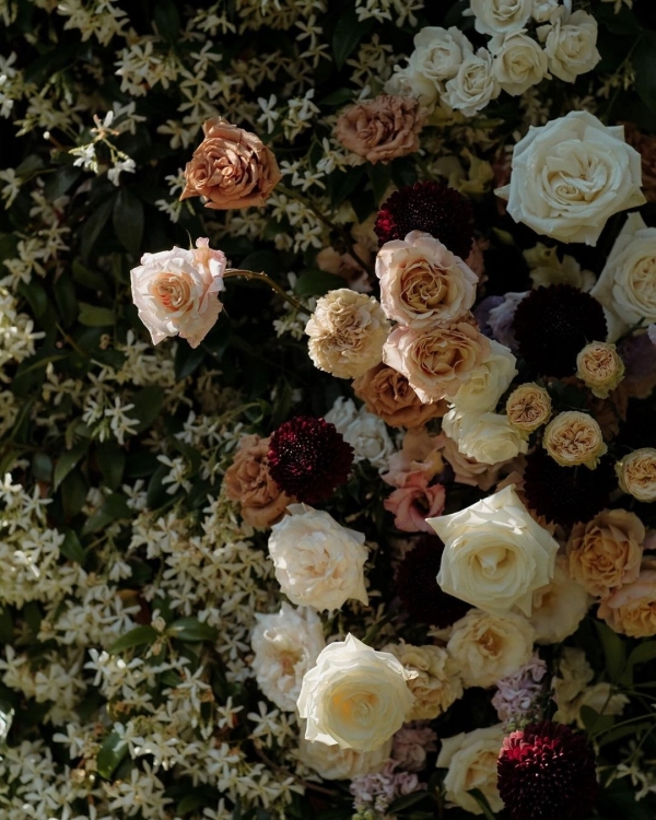 Photographers Lato Photography