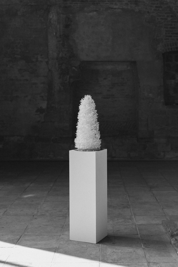 Cakes & Catering Clare Ellen Studio