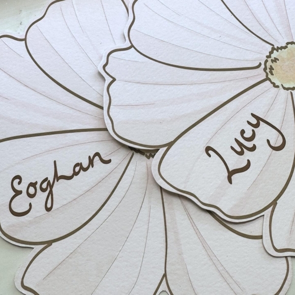 Stationery Samantha Colling Creative Studio