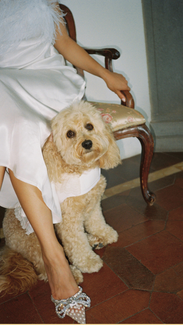 Photographers Lato Photography