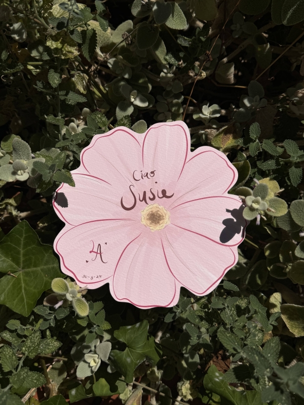 Stationery Samantha Colling Creative Studio