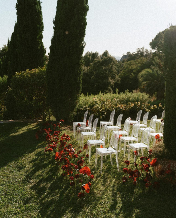 Florists Tepee Sauvage