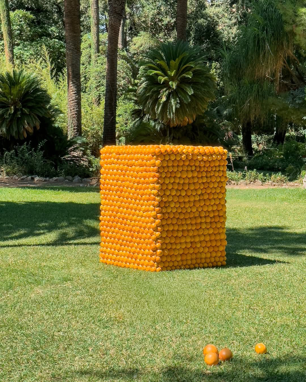 Trend: Geometric Floral Arrangements