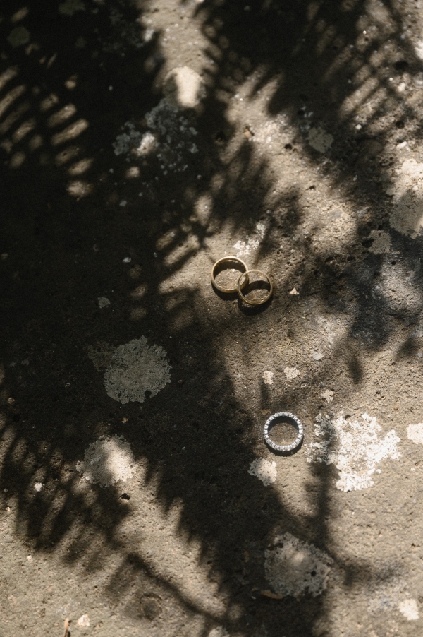 Photographers Vladimir Zakharov