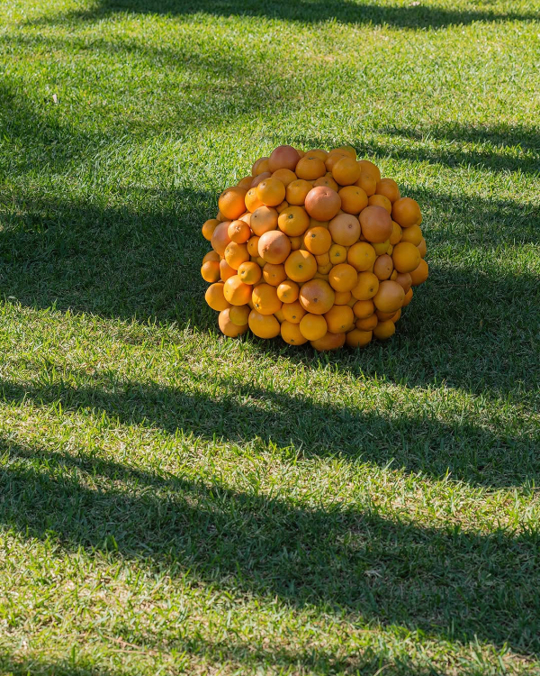 Trend: Geometric Floral Arrangements