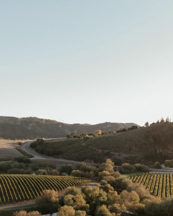 10 Best Vineyard Venues in the US