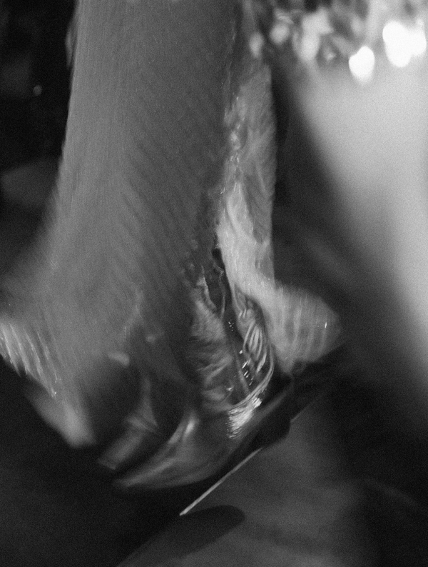 Photographers Jessica Livingston