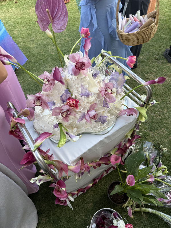 Cakes & Catering María Amaría