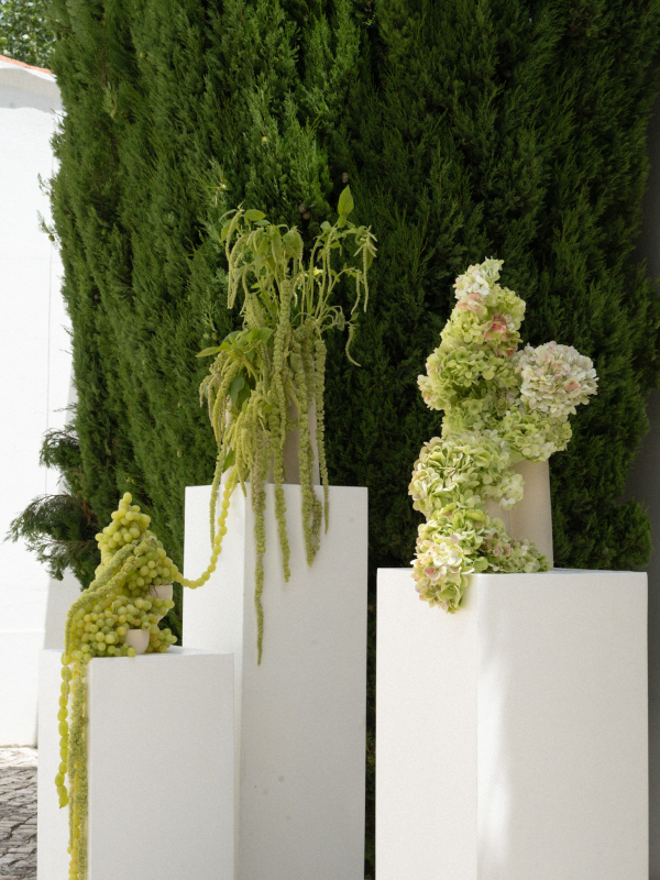 Florists Oh, Maria Flores