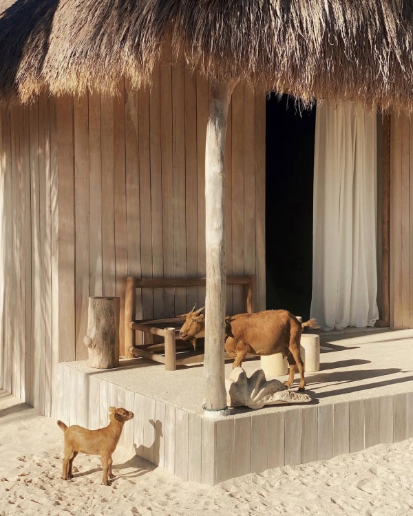 Island Hopping: 17 Romantic Island Destinations for Your Honeymoon