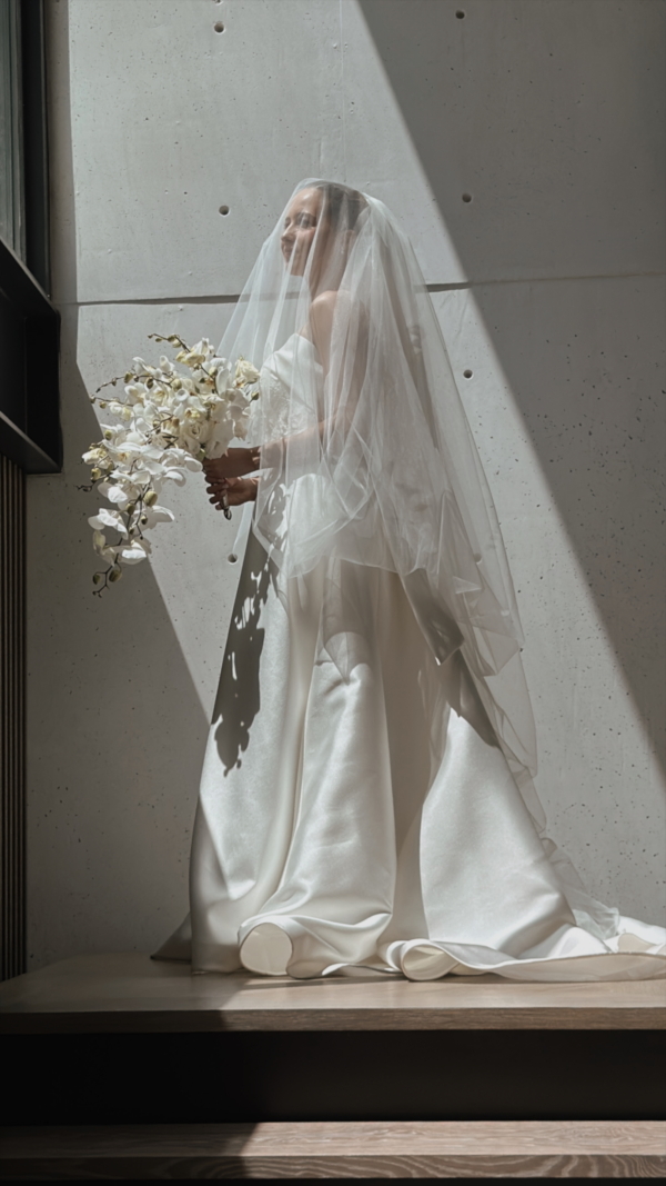 Content Creators DONATELLO