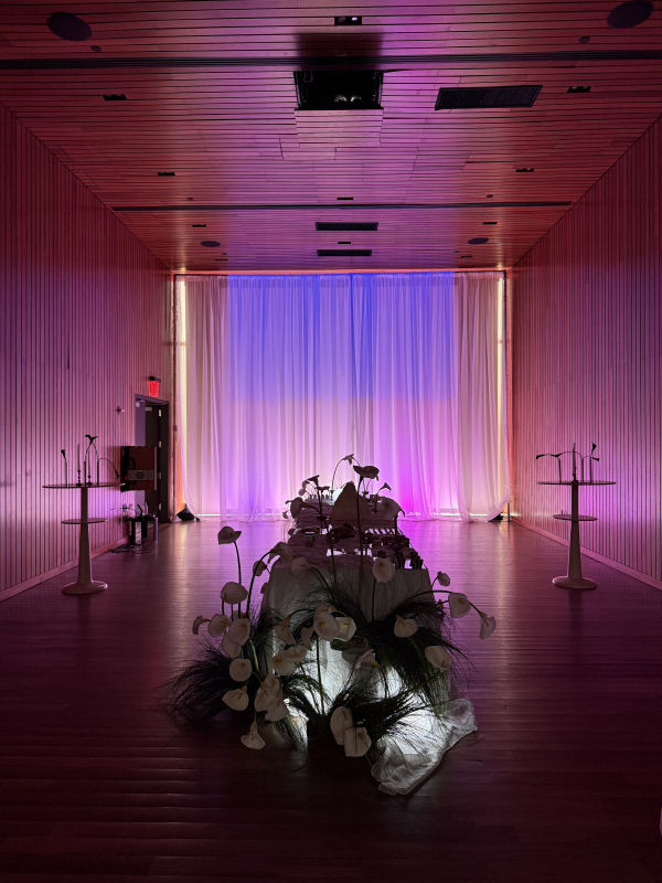 Cakes & Catering María Amaría