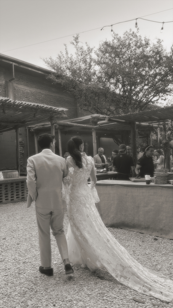 Content Creators DONATELLO