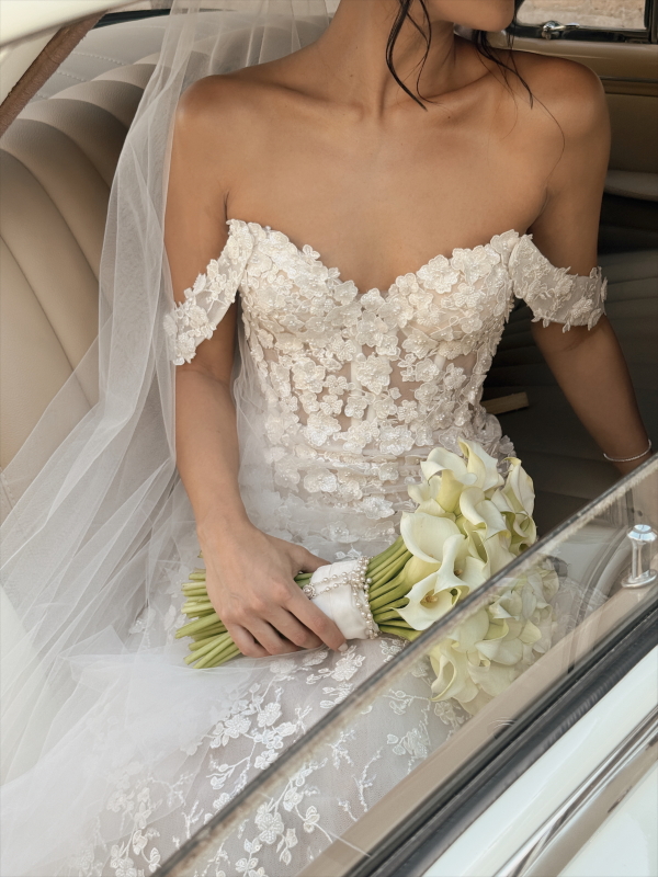 Content Creators DONATELLO