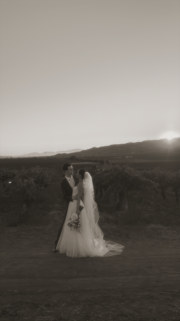 Content Creators DONATELLO