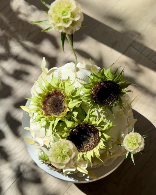 Cakes & Catering María Amaría