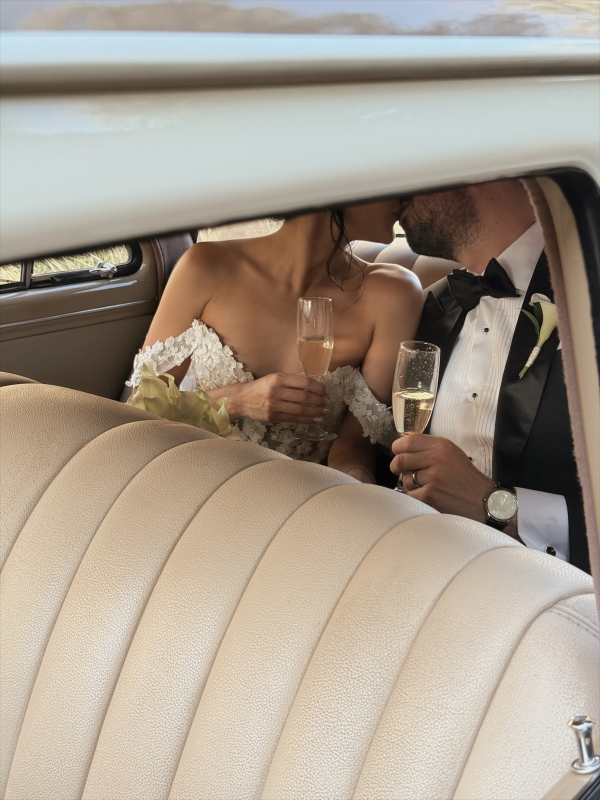 Content Creators DONATELLO