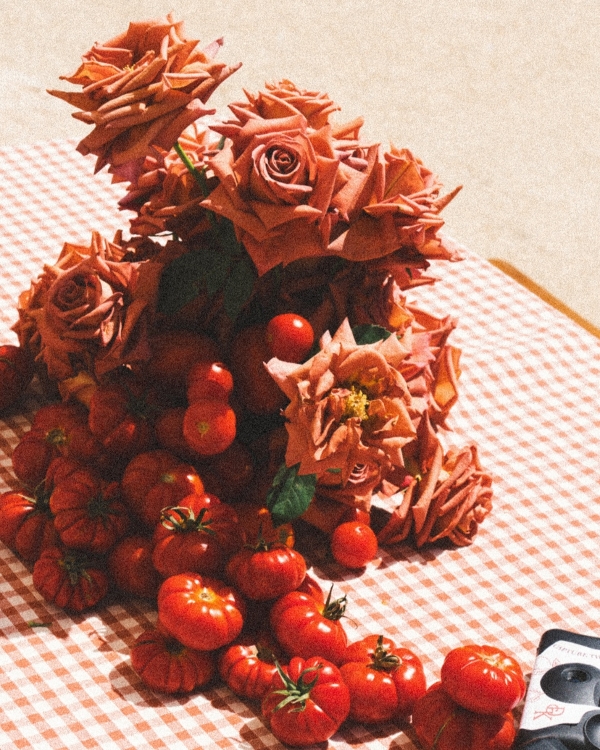 A Dream Sicilian Wedding Weekend at Tonnara di Scopello