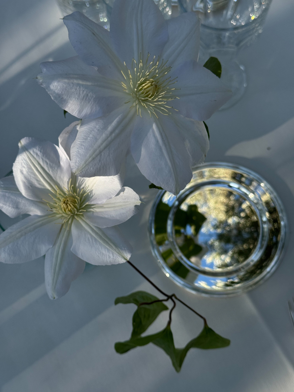 Stylists Marta Sandri Studio