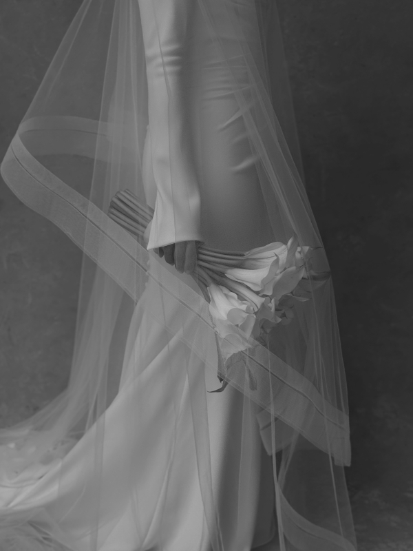 Content Creators DONATELLO