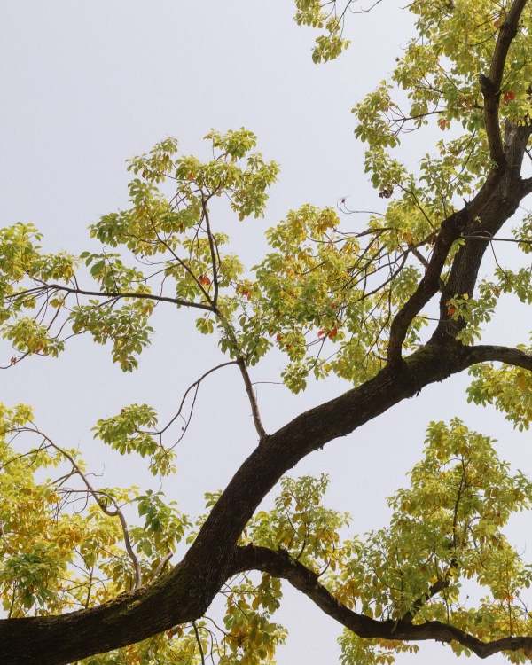 A Chic Black Tie Editorial-Inspired Wedding on Lake Garda, Italy