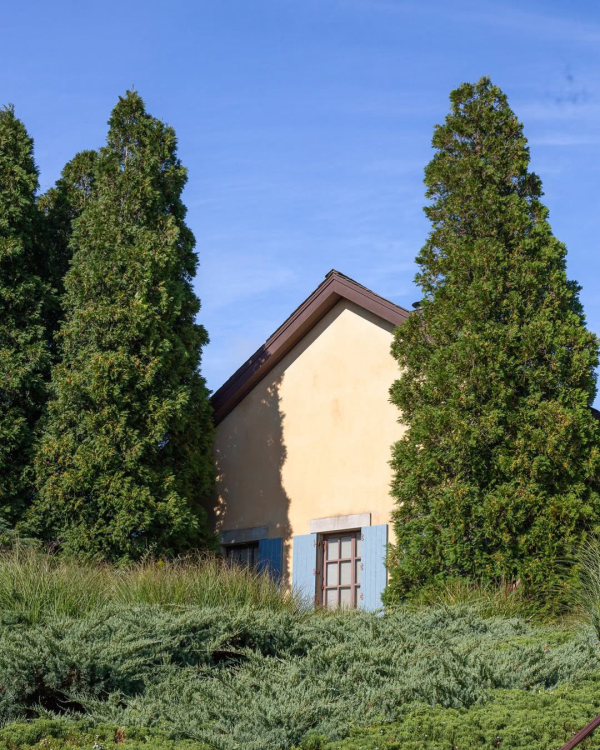 10 Best Vineyard Venues in the US