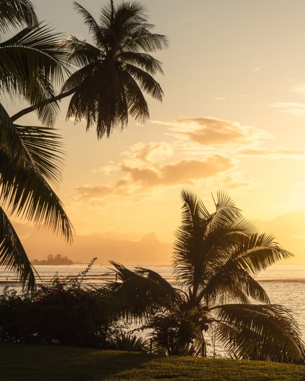 Island Hopping: 17 Romantic Island Destinations for Your Honeymoon