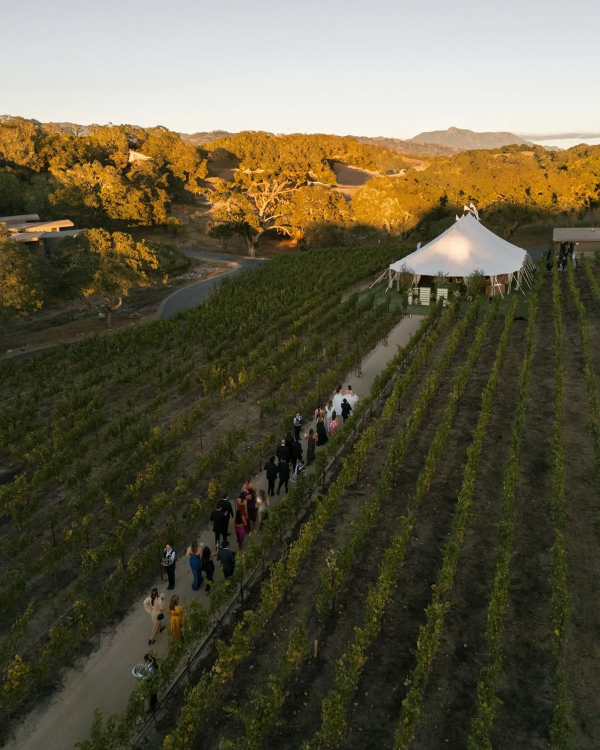 10 Best Vineyard Venues in the US