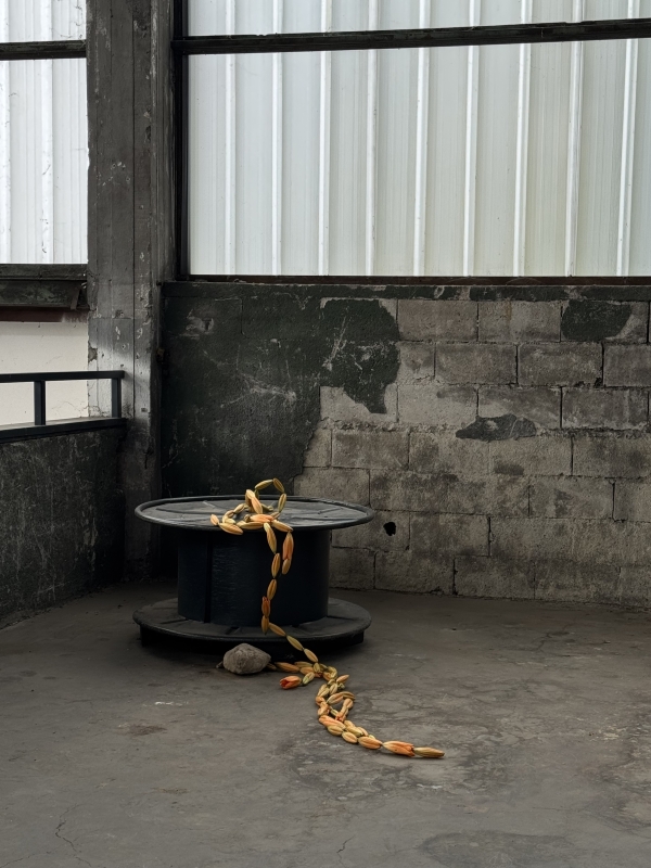 Stylists Marta Sandri Studio