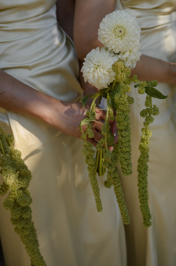 Photographers Vladimir Zakharov