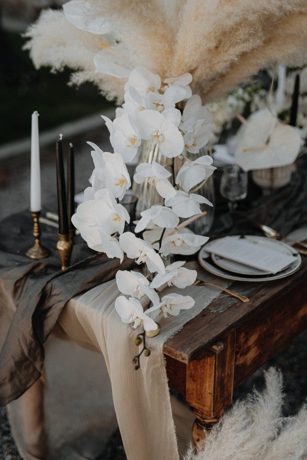 Photographers Tomislav Marcijuš