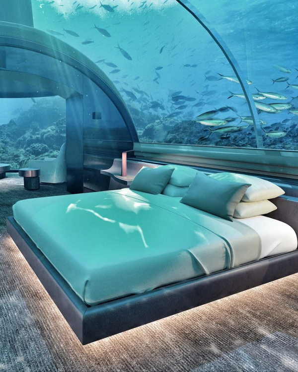 Things to do in Maldives on Honeymoon | What to do in Maldives Honeymoon | Couple Activities | Best Places to Visit