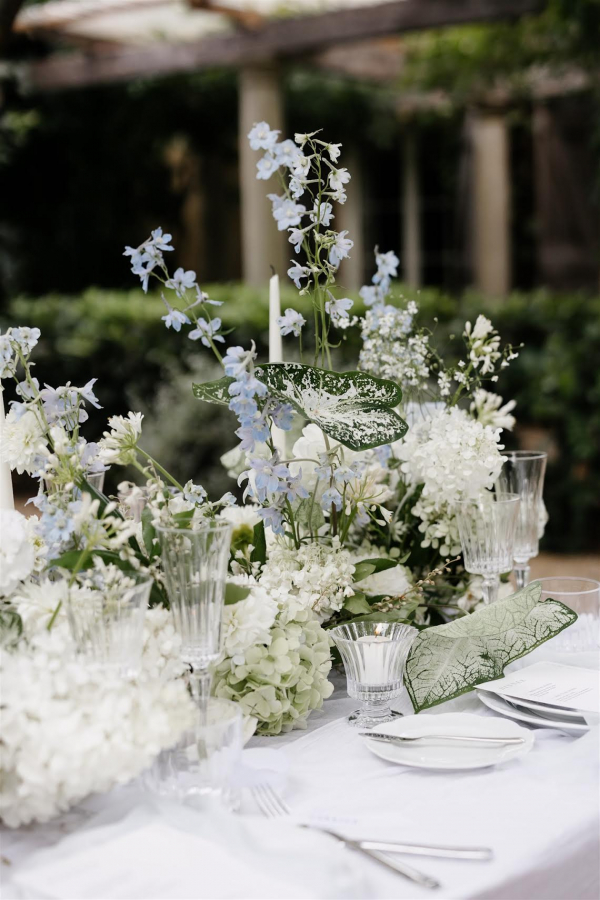 Florists Film and Foliage