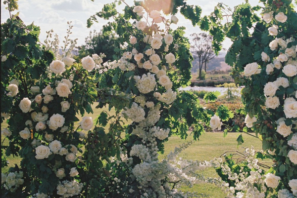 Florists The Petal Project