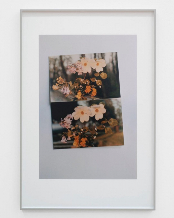 7 Must-Visit New York Art Exhibitions This Fall