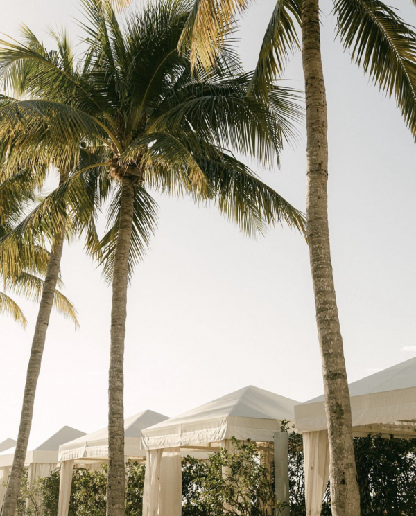 10 Best Wedding Venues in South Florida | The Most Beautiful Places to Get Married | TOP of the Luxury, Unique Wedding Locations